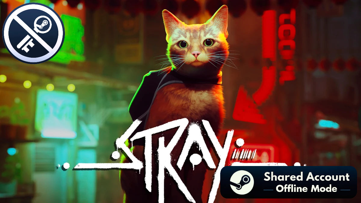 Stray